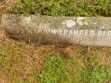 image of grave number 808747